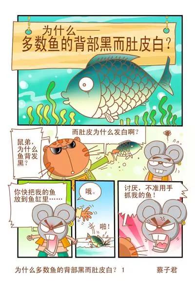 貓和老鼠科普漫畫 - 第45話 - 1