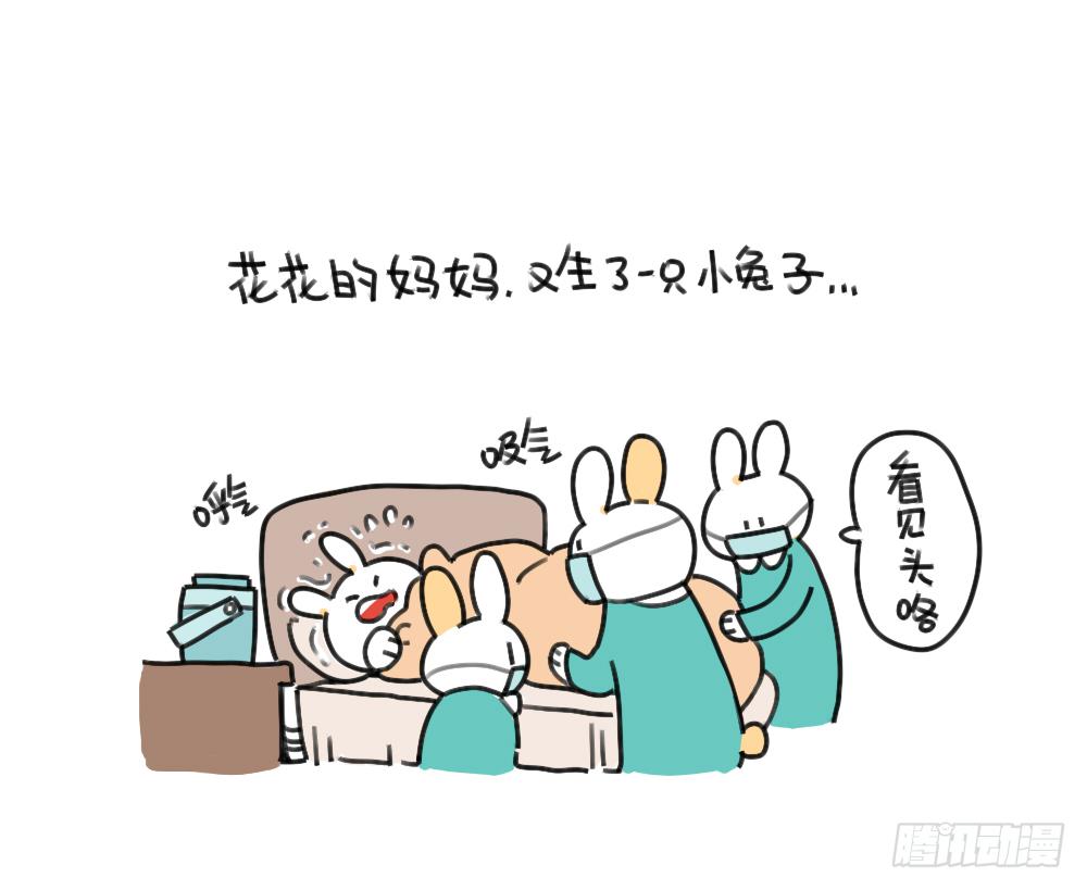 破耳兔poruby - 45、比小兔子更可愛的，是小小兔 - 1