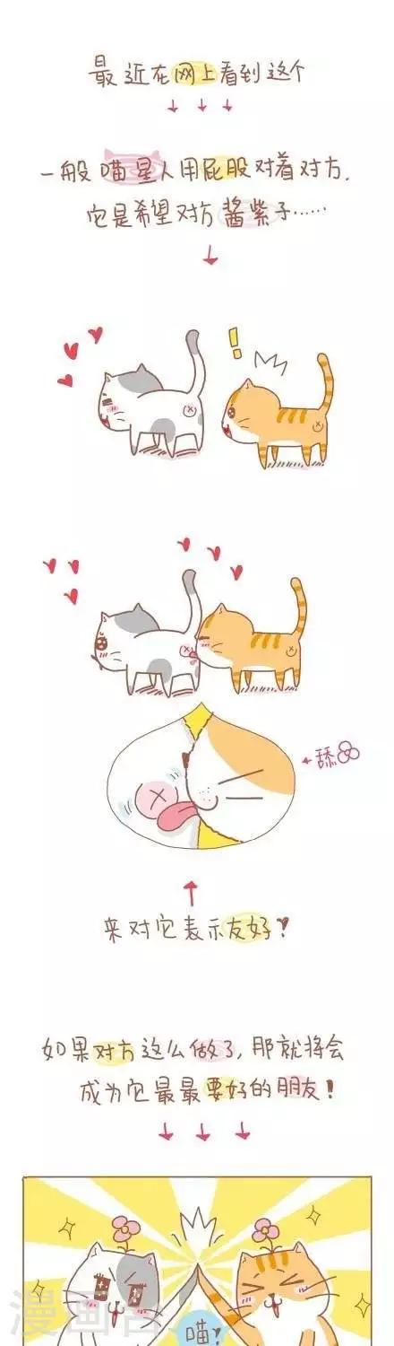 我的小小故事 - 15  15 - 1