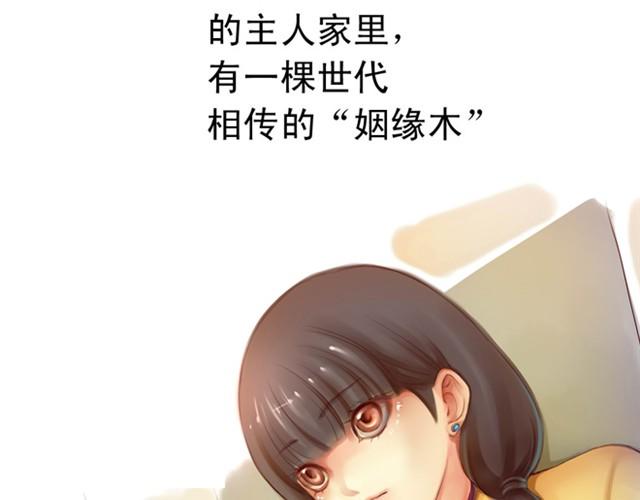 姻緣木 - 上篇 世代相傳(1/2) - 2