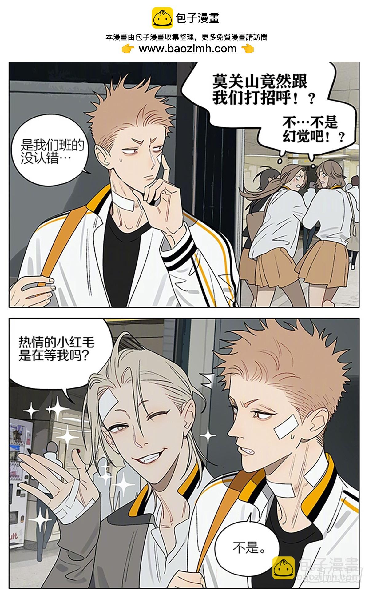 19天 - 茶葉 - 2