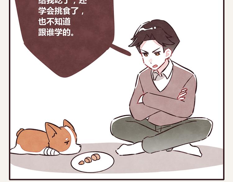 805 - 第0020話 挑食 - 2