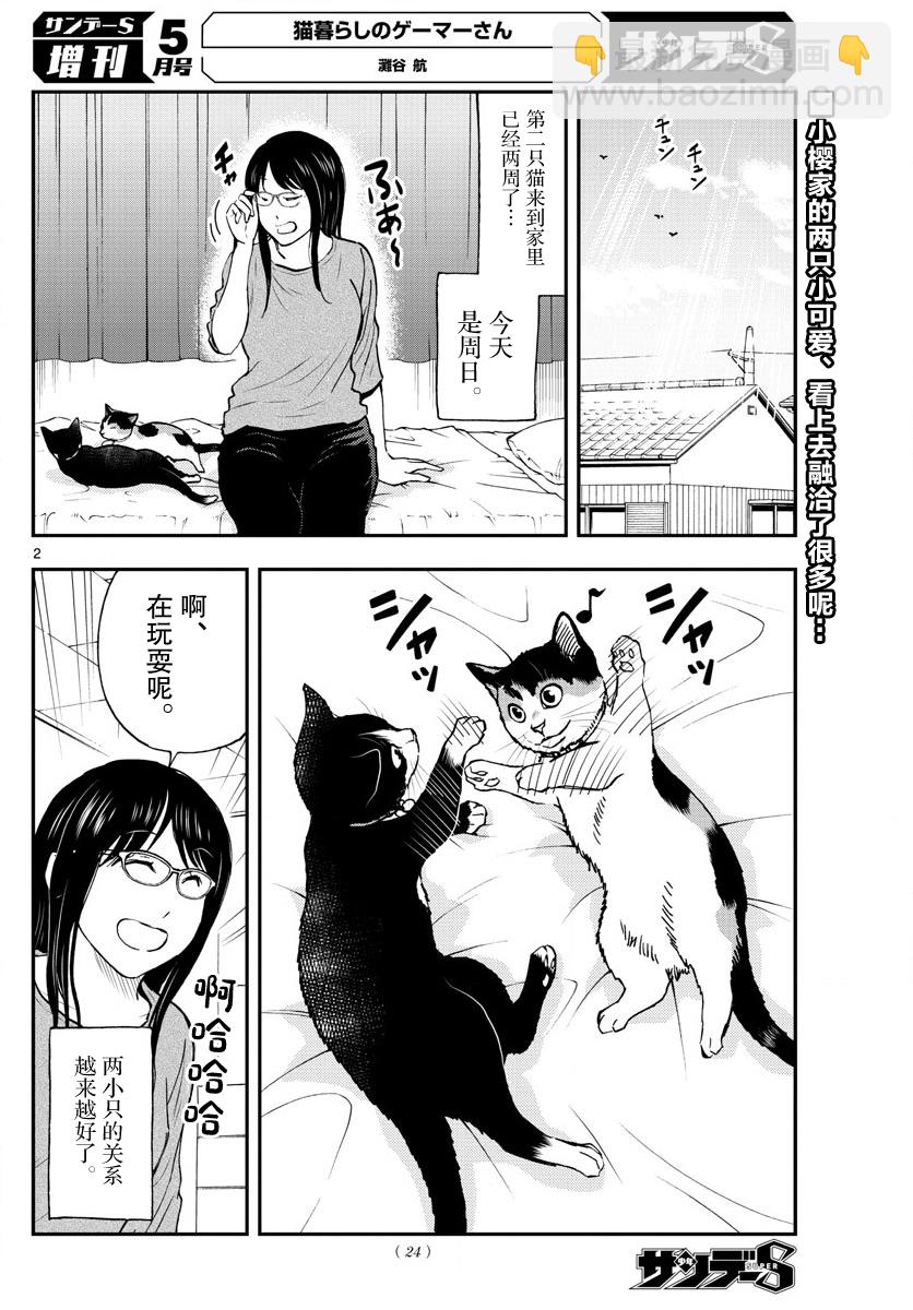 愛貓相伴的玩家小姐 - 第32話 - 2