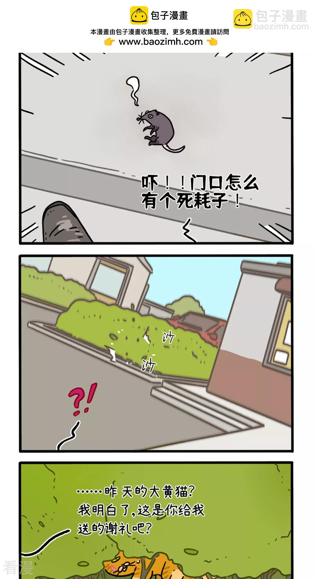 阿滿和麥茶 - 第158話2 貓晶晶的春日企劃3 - 2