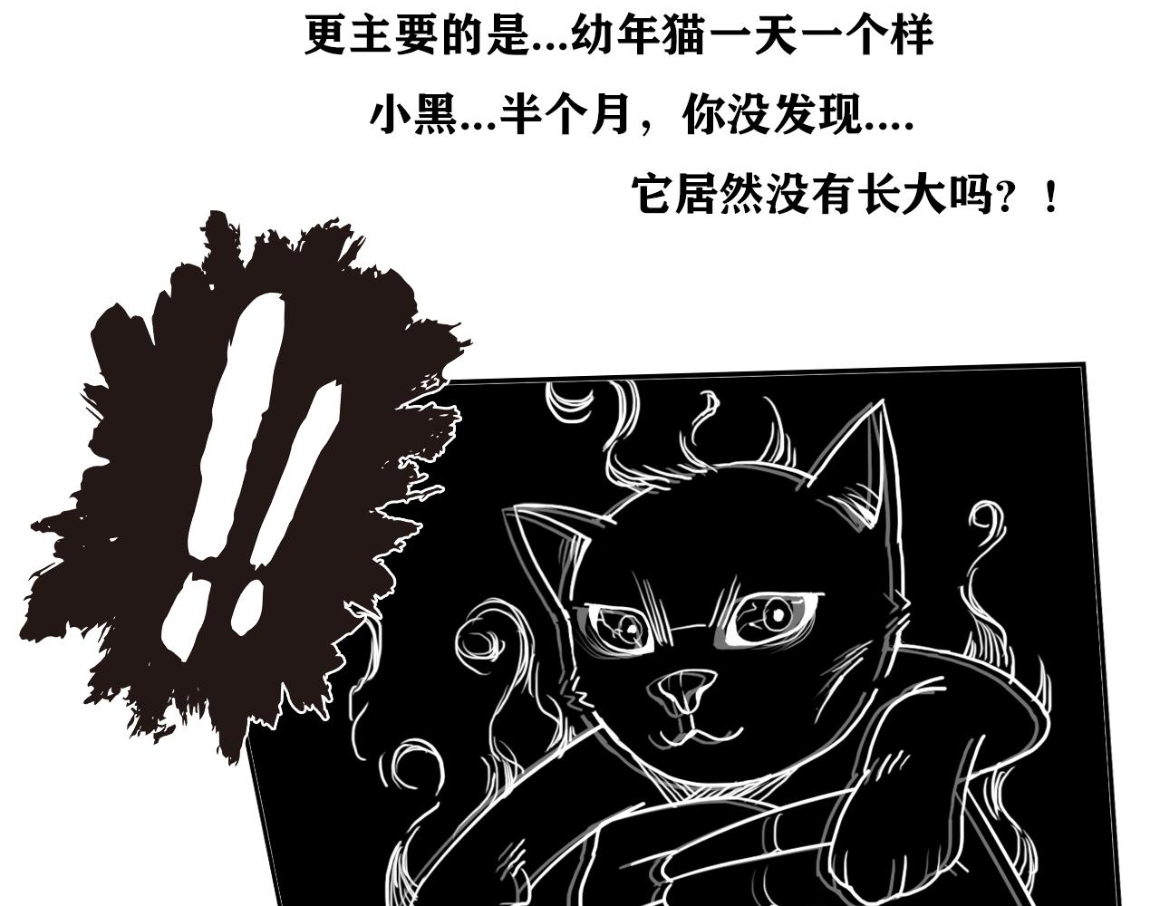 百鬼錄 - 對峙(1/3) - 3