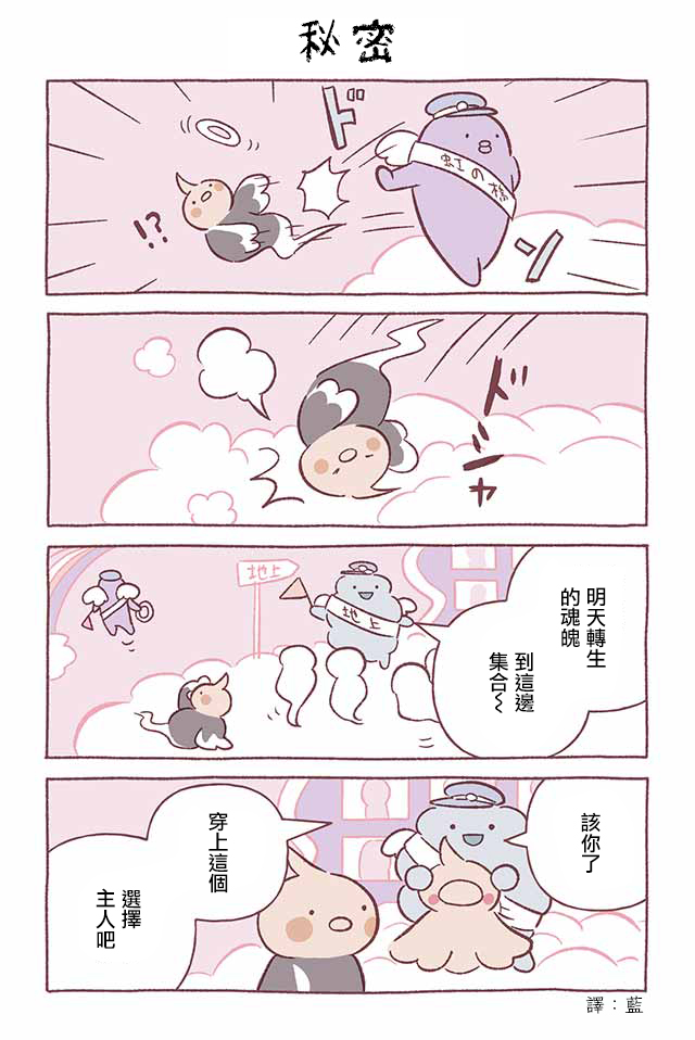 不可思議的貓咪 小九 - 第250話 - 1