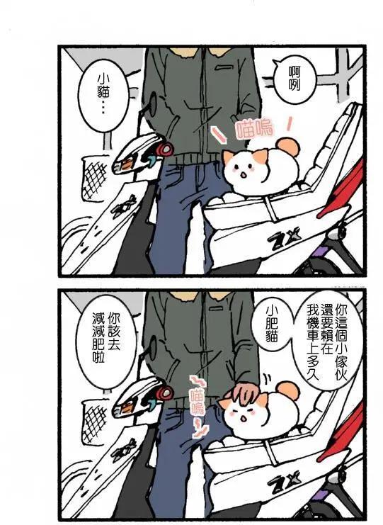 沉默寡言的貓 - 第01回 - 3