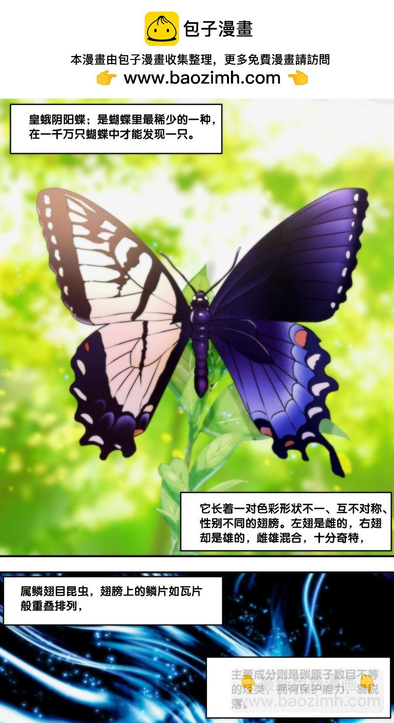 蟲生 - 100.集合 - 2