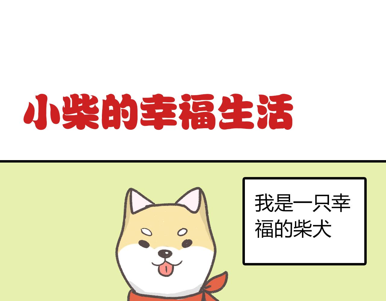 寵物公寓 - 有隻二哈屬性的柴犬 - 1