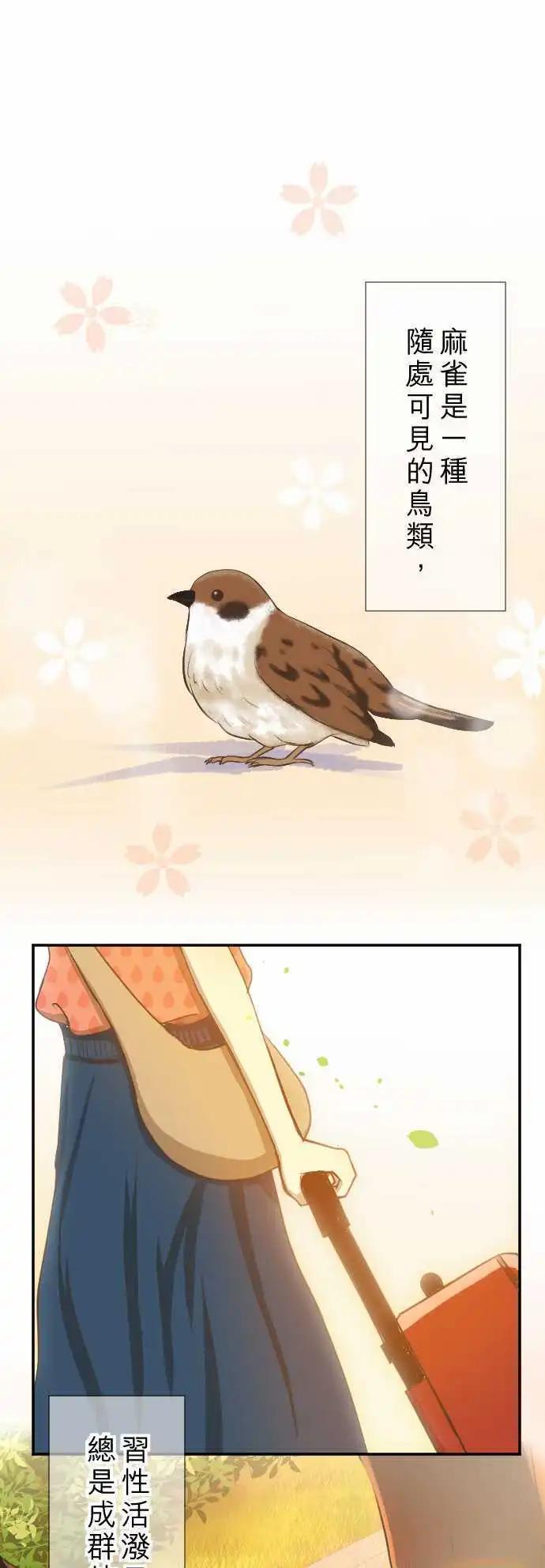 大城市小女子 - 第01回 麻雀 - 1