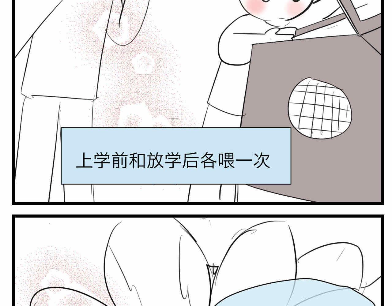 第一次做媽媽 - 81.網紅小雞 - 3