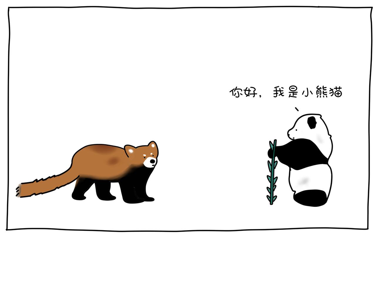動物聯盟 - 明天我再喜歡你 - 1