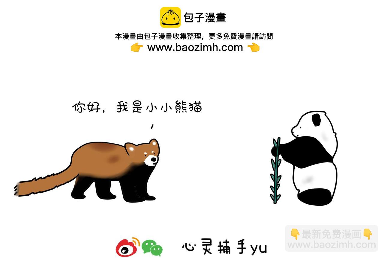 動物聯盟 - 明天我再喜歡你 - 2