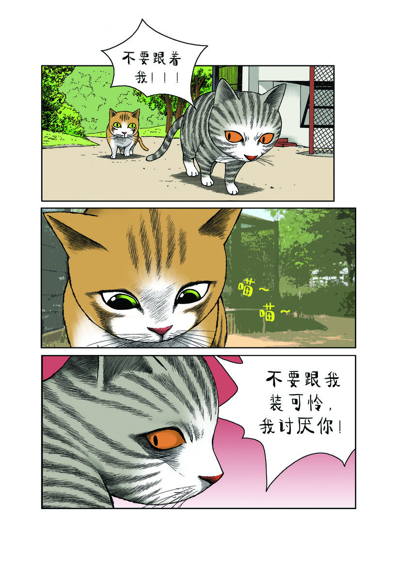 動物園真相 - 第一季 第27集 復仇 - 2