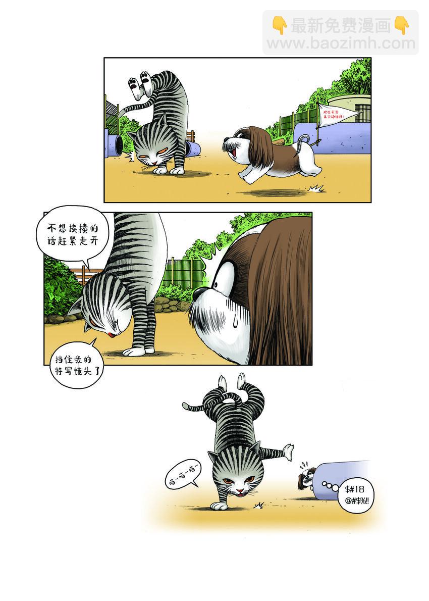 動物園真相 - 第一季 第9集 上鏡頭 - 2