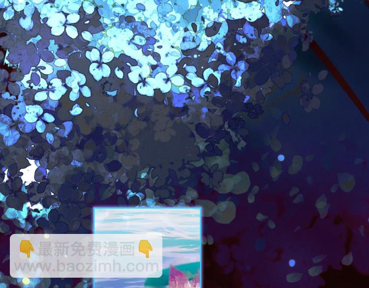 ���������İ�èʦ�� - ��2�� ���µ�����