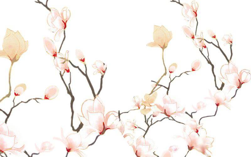 非君緋臣 - 預告！！！！！！！！ - 2