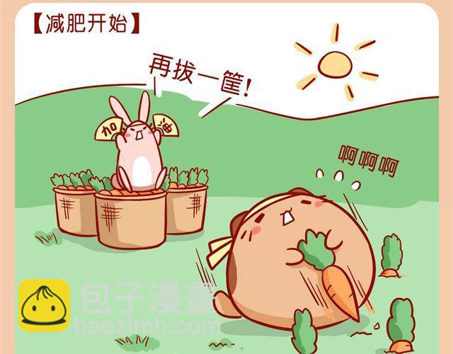 肥喵與兔紙 - 胖砸！快減肥！ - 3