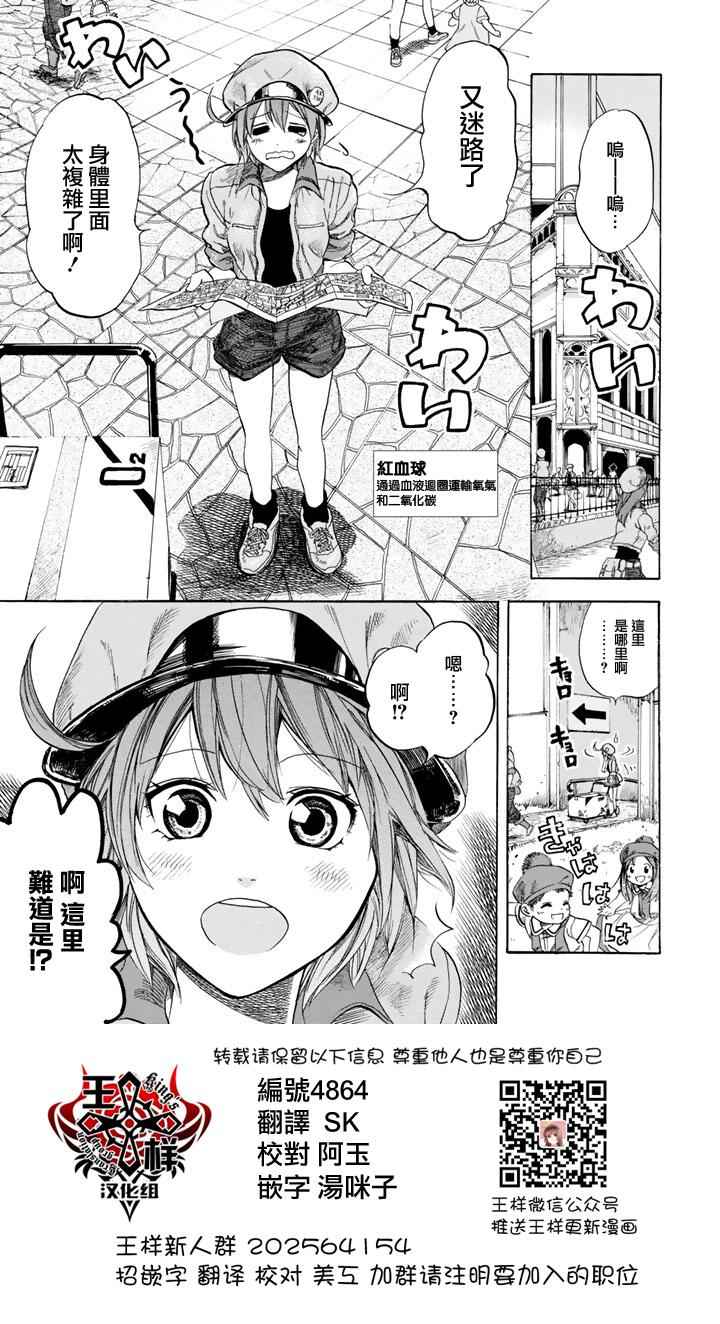 工作細胞 - 第7話 有核紅細胞和骨髓細胞 - 1
