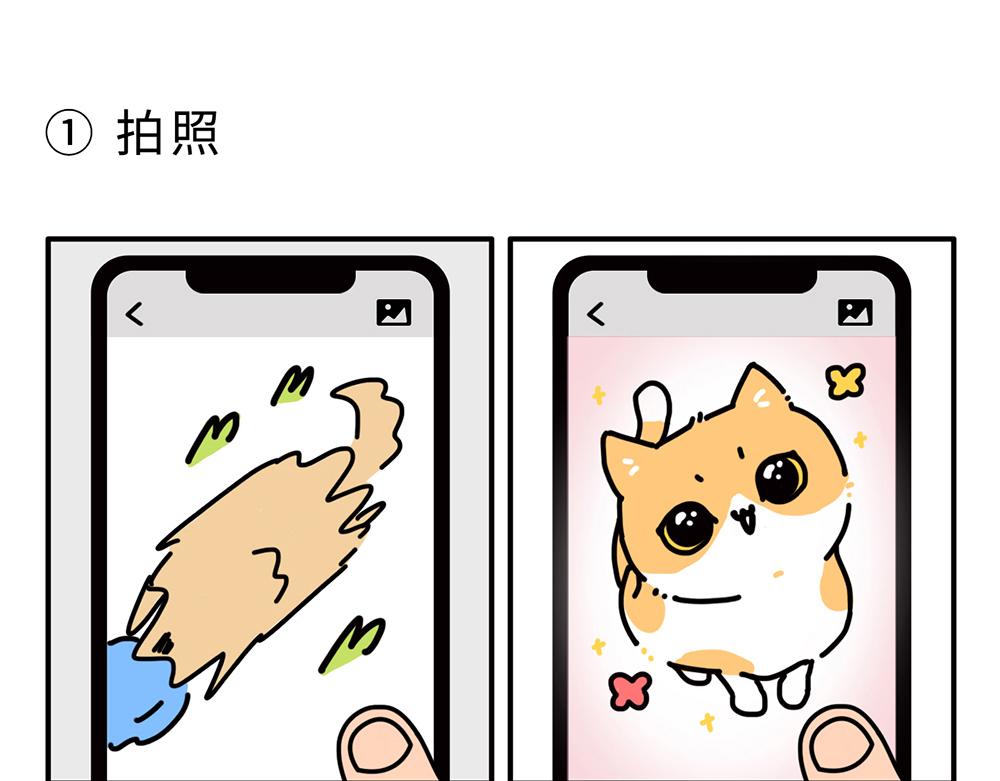 枸杞和夥伴們 - 狗狗還是貓咪？選一個吧！ - 1