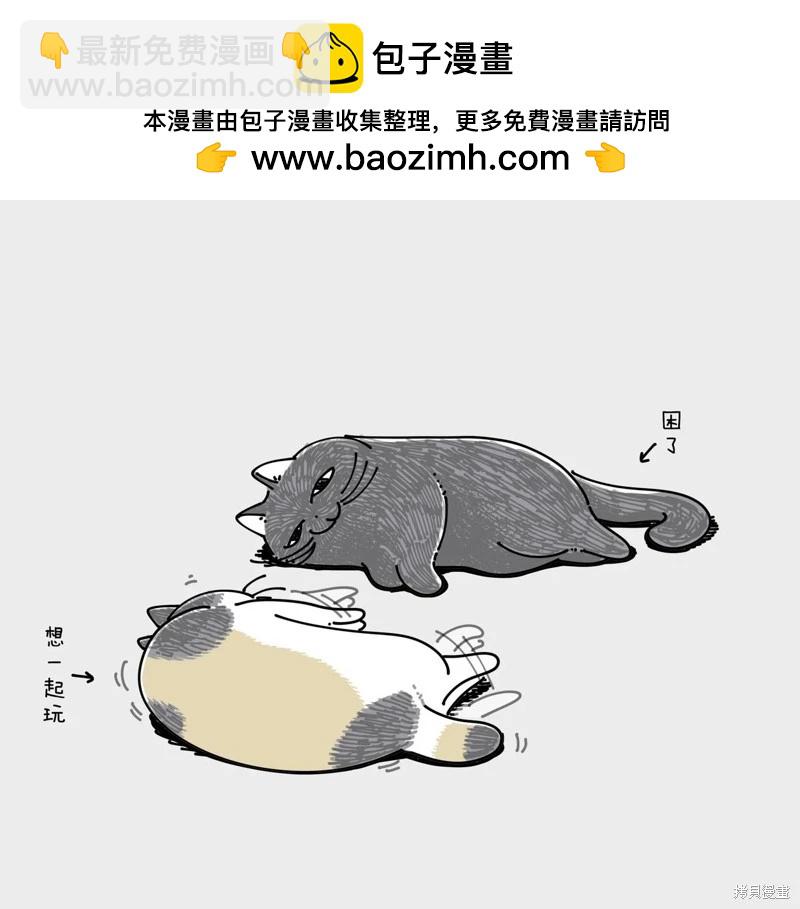 關於養貓我一直是新手 - 第245話 - 2