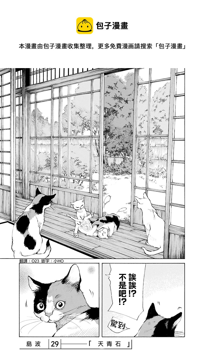 海島與少女還有貓 - 第29話 - 1