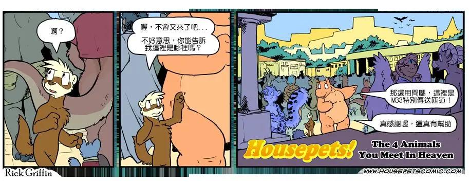 Housepets! - 第1103話 - 1