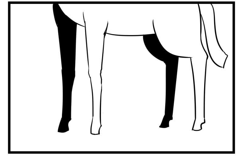 H事兒 - H事兒 第47集 - 1