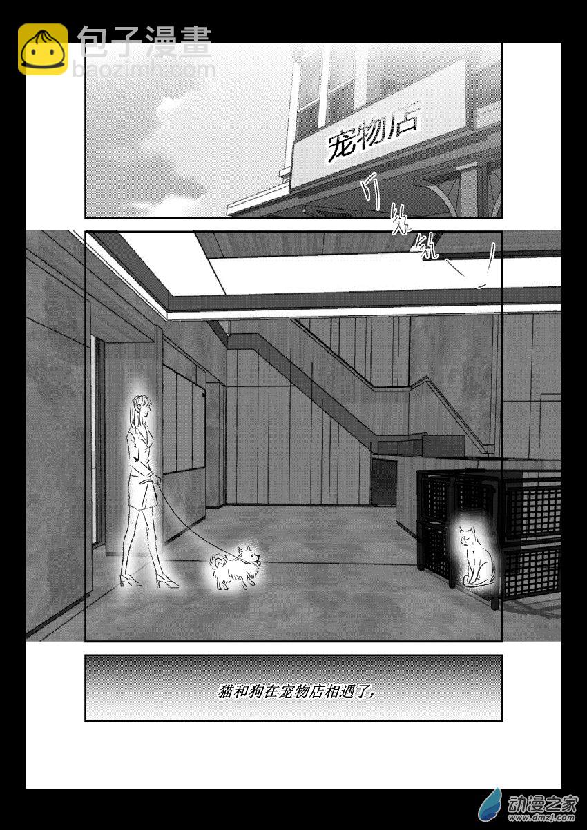 江投 - 第36話 貓和狗和人（一） - 2
