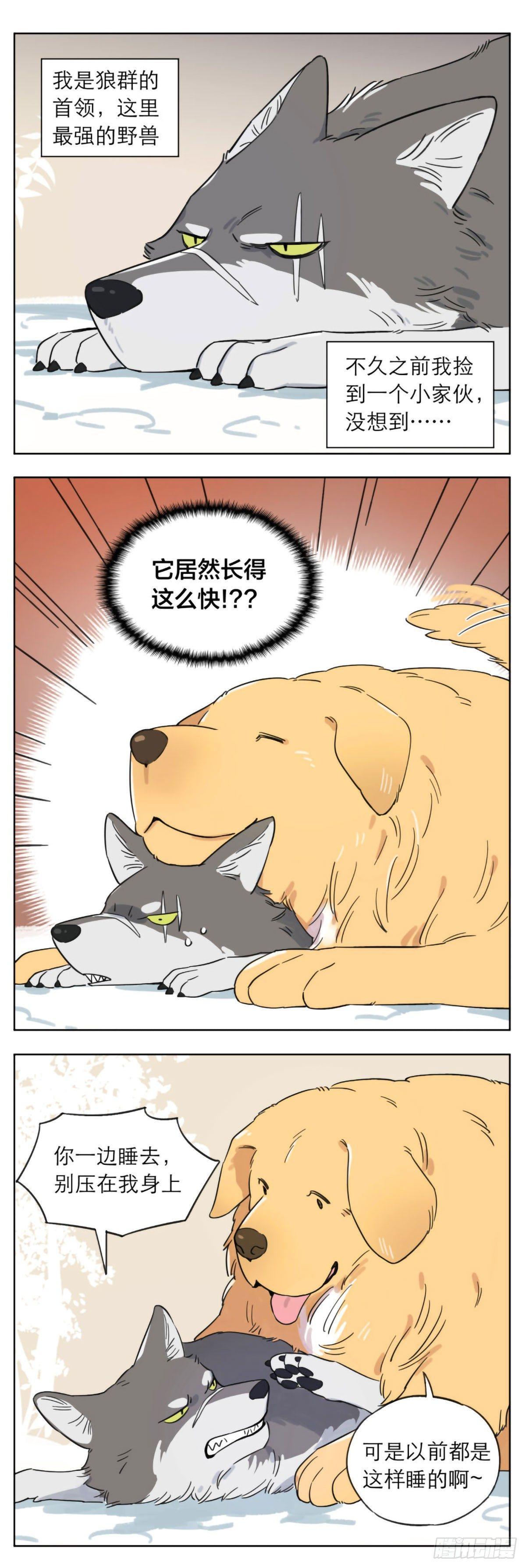 撿了東西的狼 - 相遇後的第一個冬天 - 1