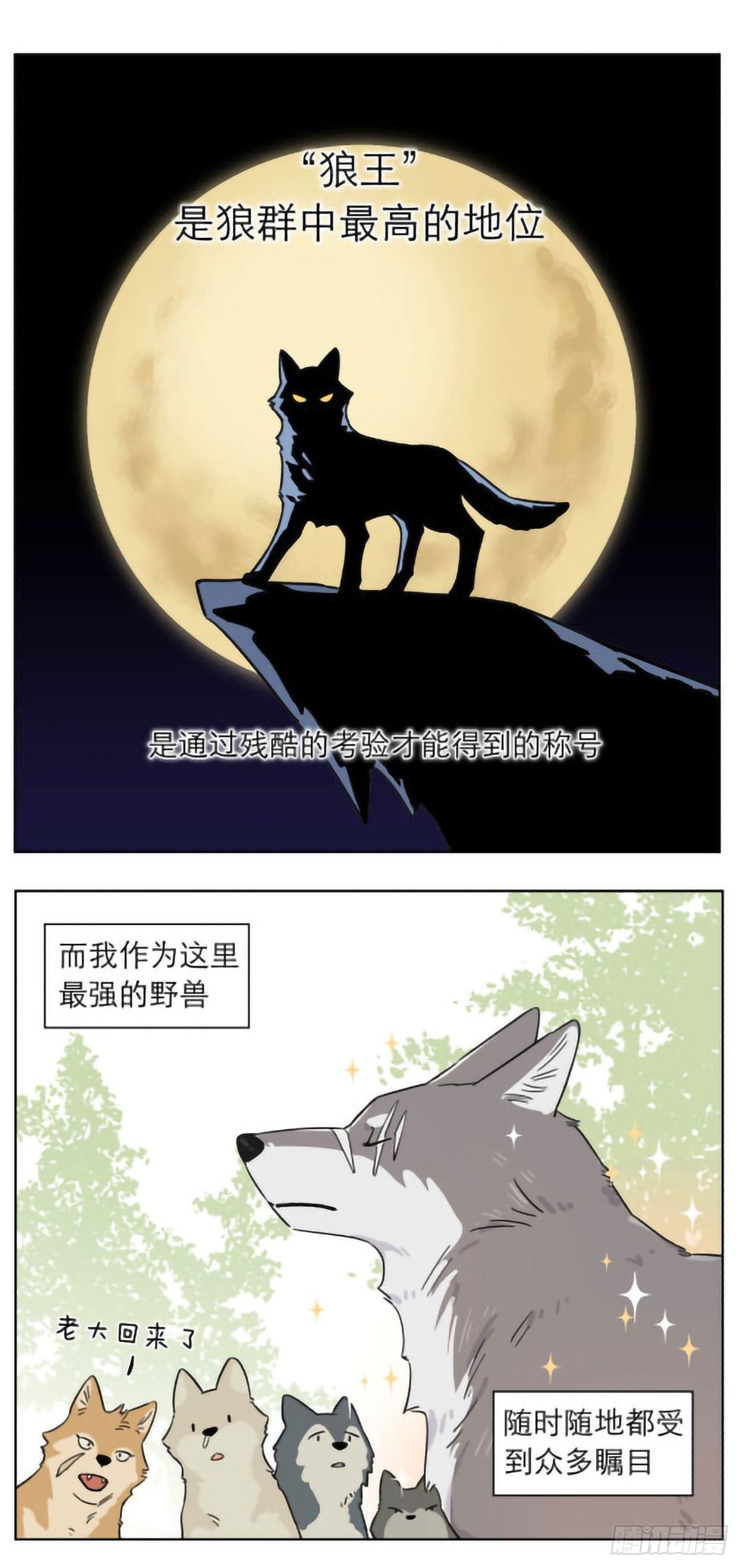 撿了東西的狼 - 狼羣裡的小弟們 ​​​ - 1