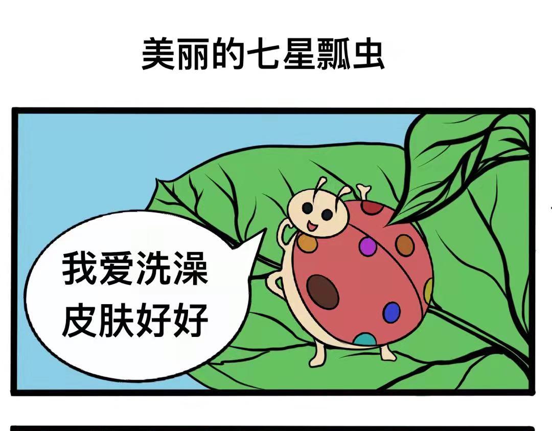 傑克的冒險故事 - 美麗的七星瓢蟲和蘑菇房子 - 1