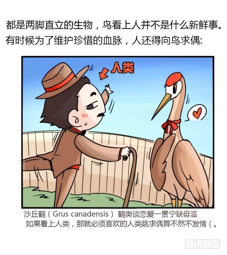 進化之基 - 飛吧小少爺：好消息，壞消息。 - 2