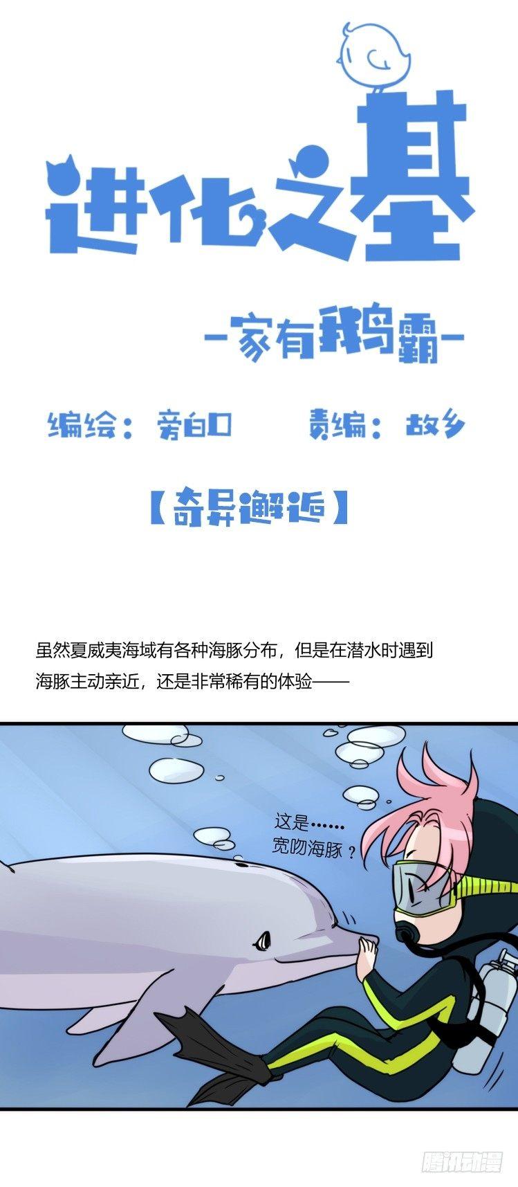进化之基 - 海洋精灵-奇异邂逅 - 2