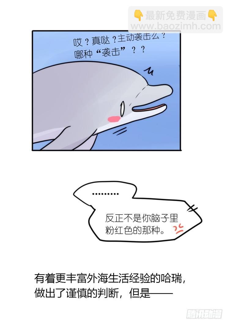 進化之基 - 海洋精靈：反派BOSS……們？ - 3
