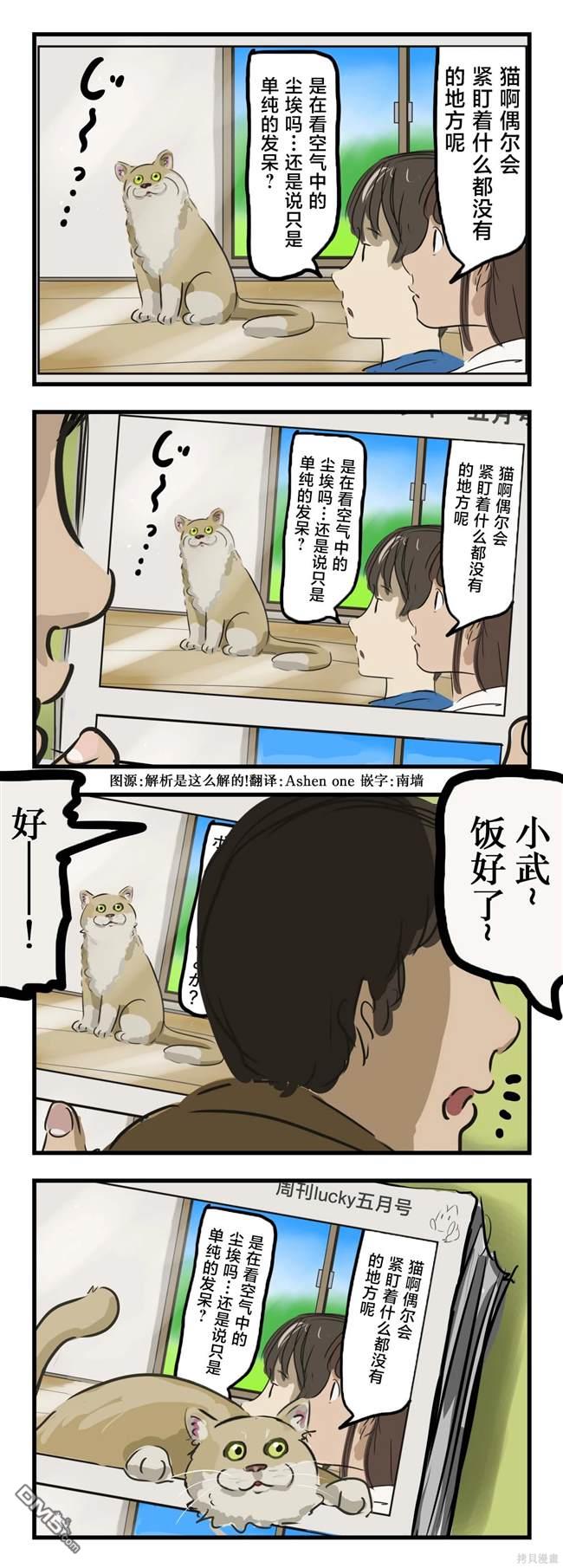 カコミスル老師四格合集 - 貓在看 - 1