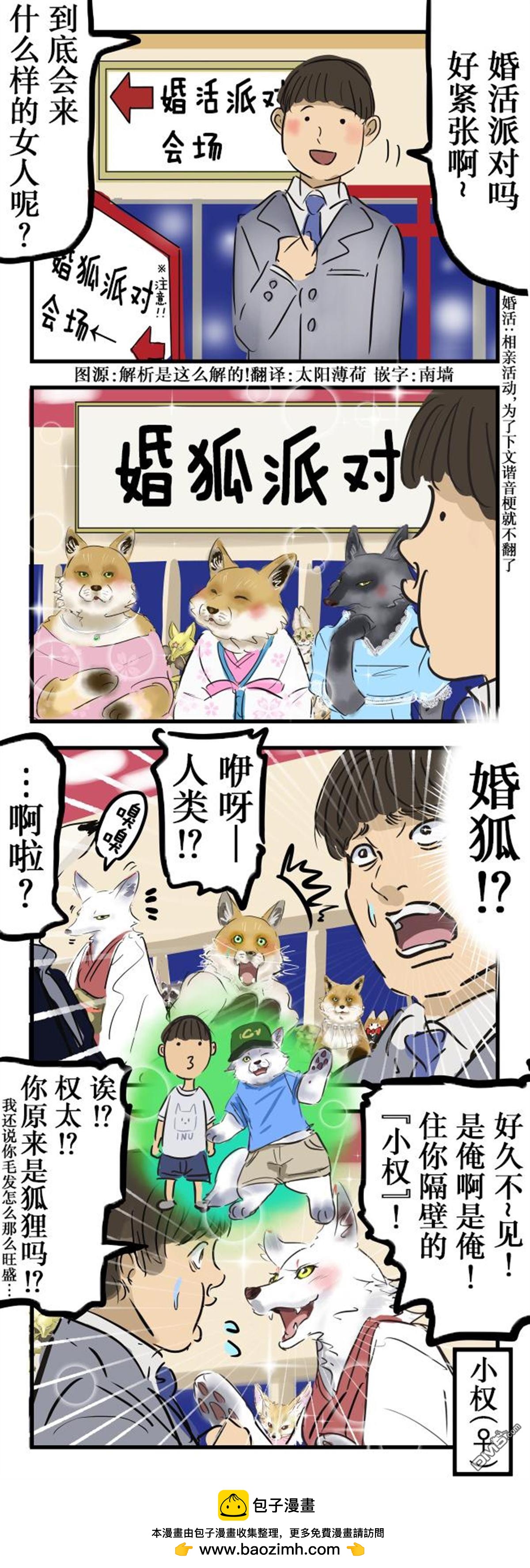 カコミスル老師四格合集 - 婚狐 - 1