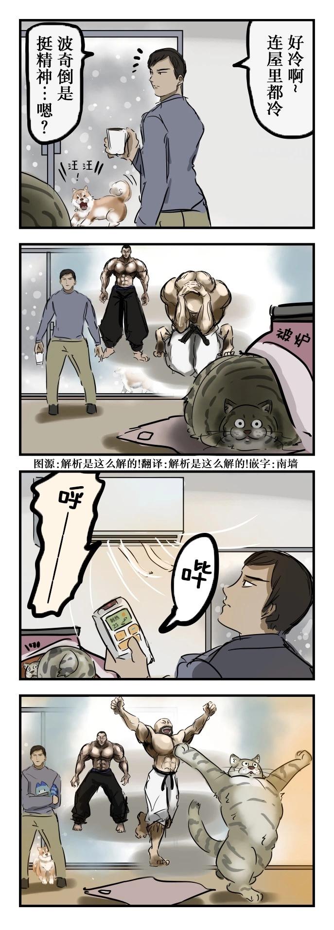 カコミスル老師四格合集 - 變球的貓 - 1