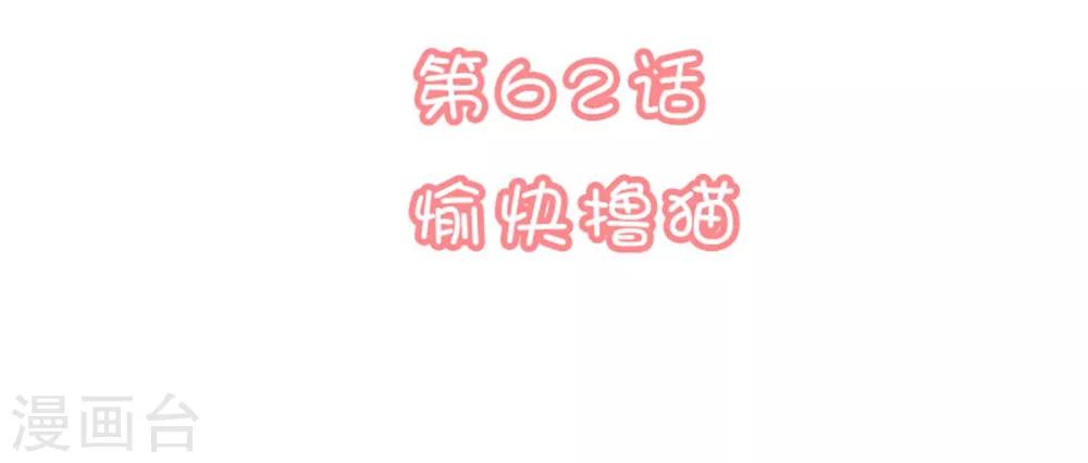 戀愛超速 - 第62話 愉快擼貓 - 2