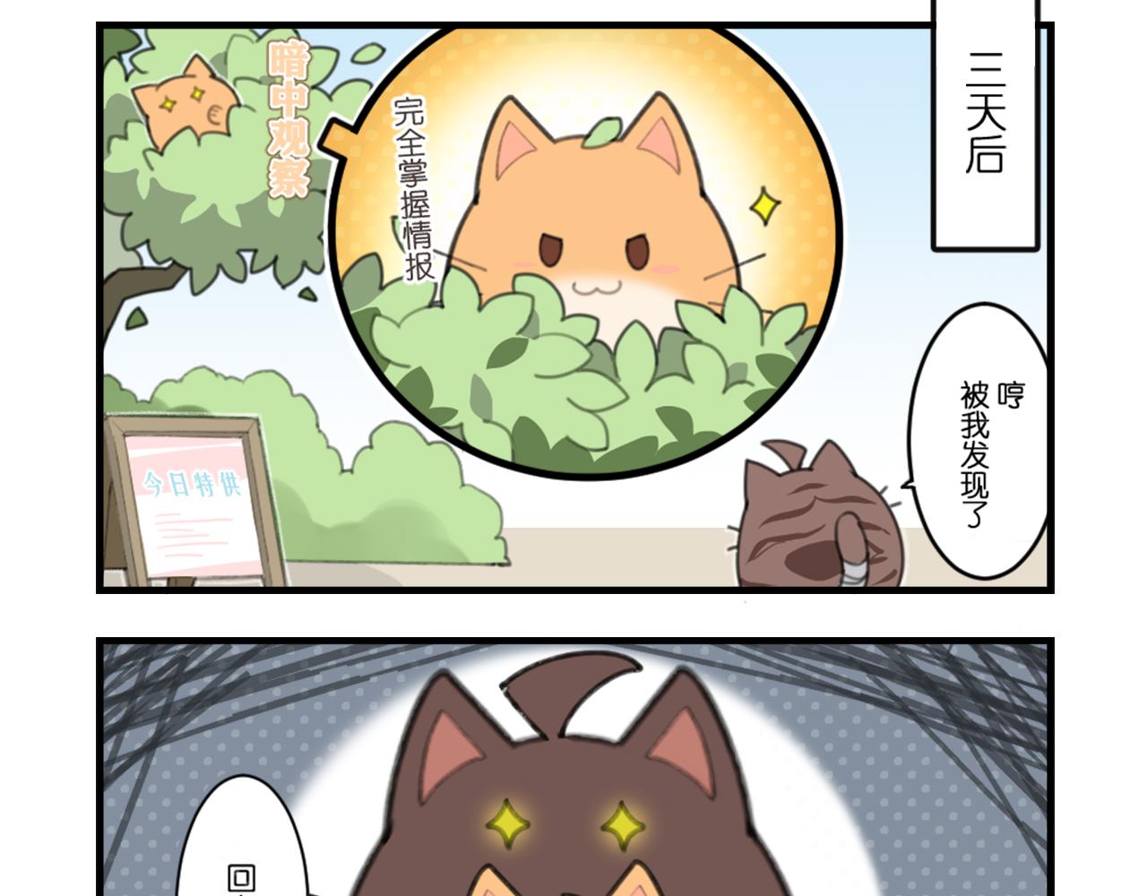 貓靈相冊 - 虛驚一場 - 1
