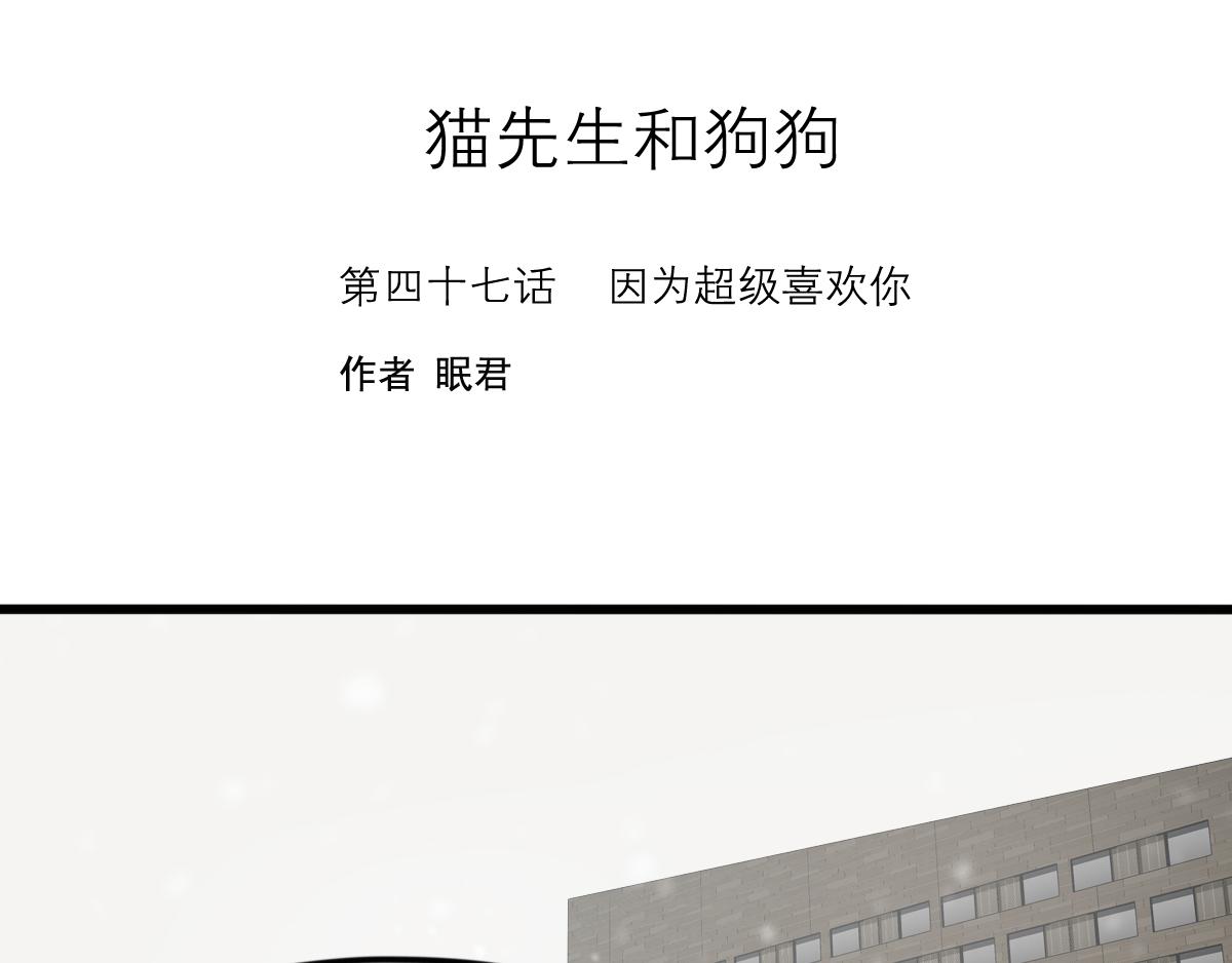 貓先生和狗狗 - 第47話  因爲超級喜歡你(1/3) - 1