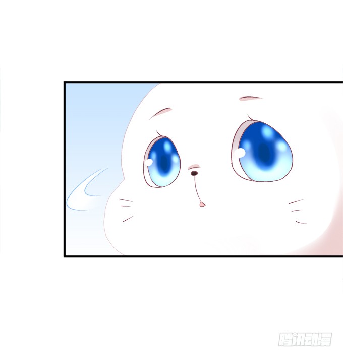 貓妖的誘惑 - 番外·美圖秀秀 - 2