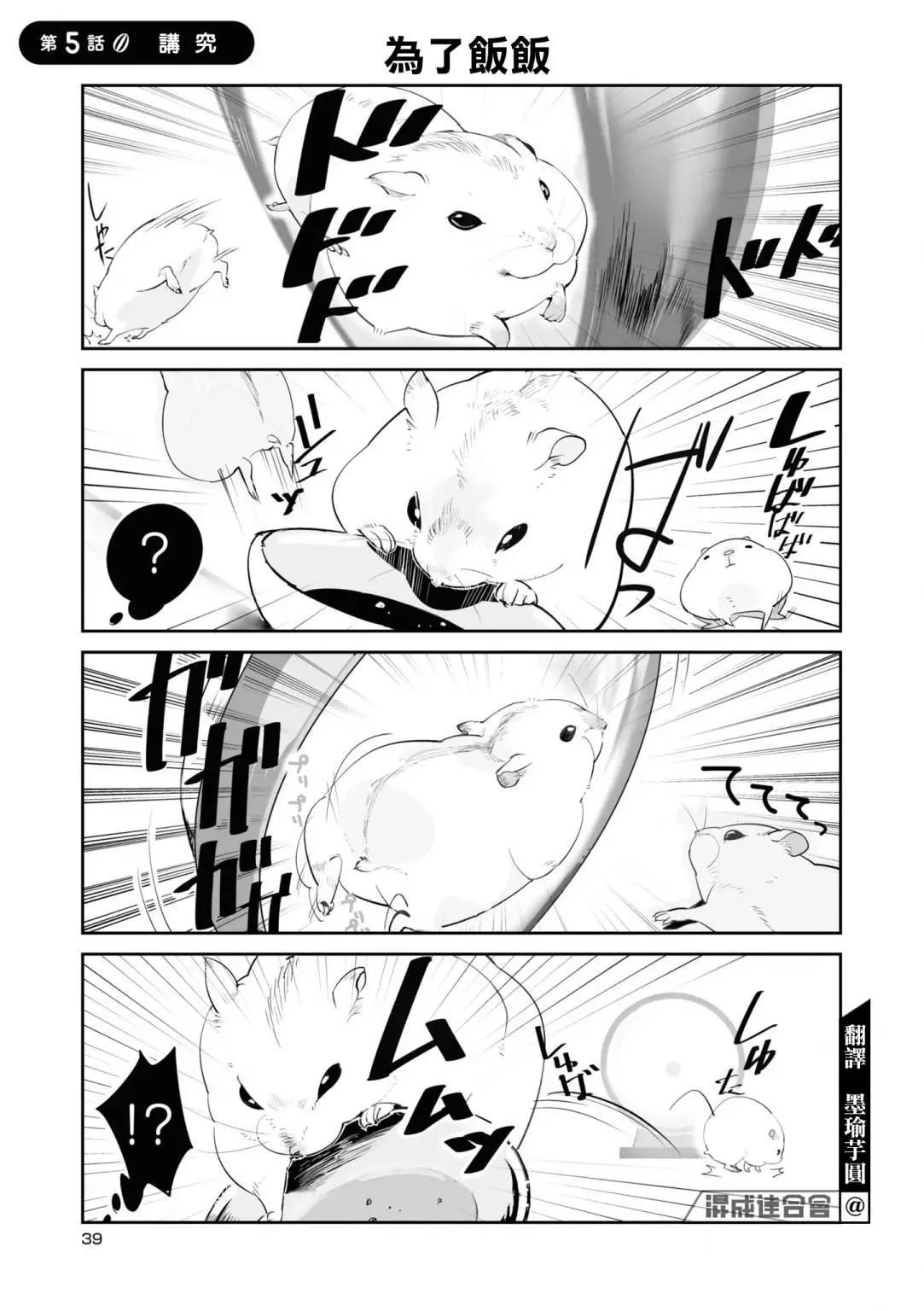 萌鼠倉倉 - 第05話 - 1