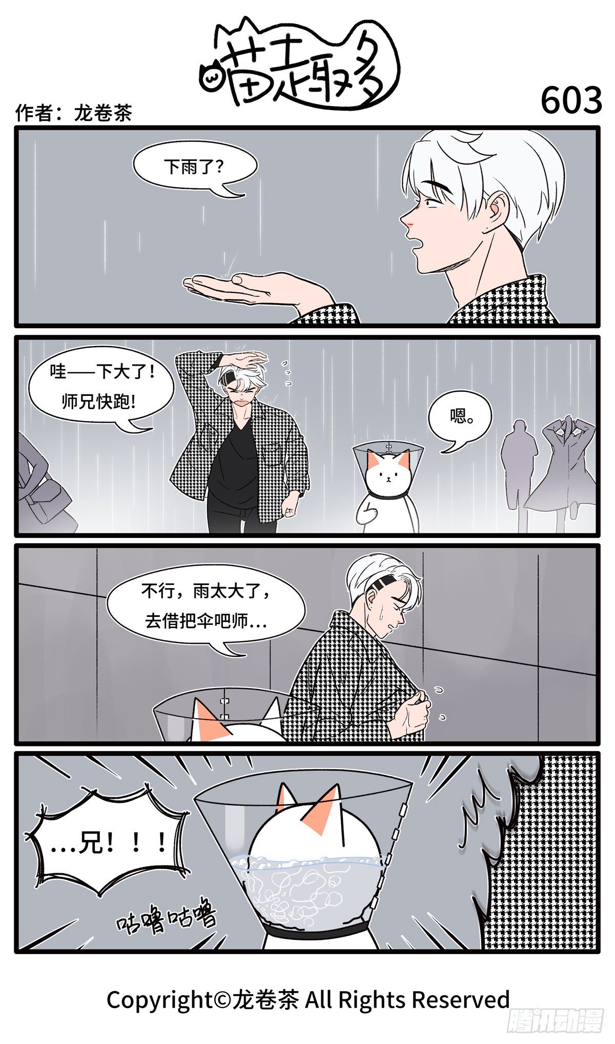 喵趣多 - 603 - 1