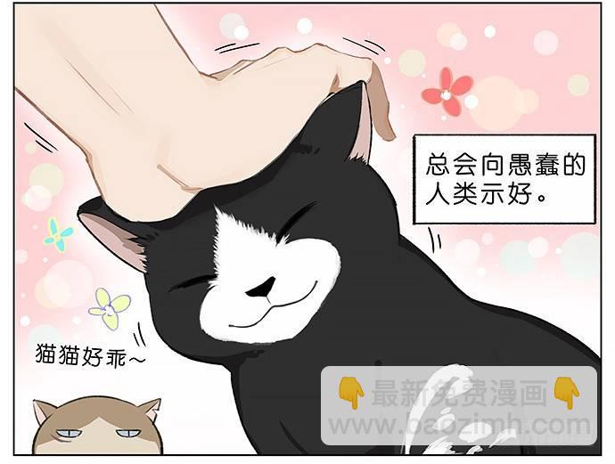 南方的鳥和北方的鳥 - 我被一隻貓綁架了。 - 3