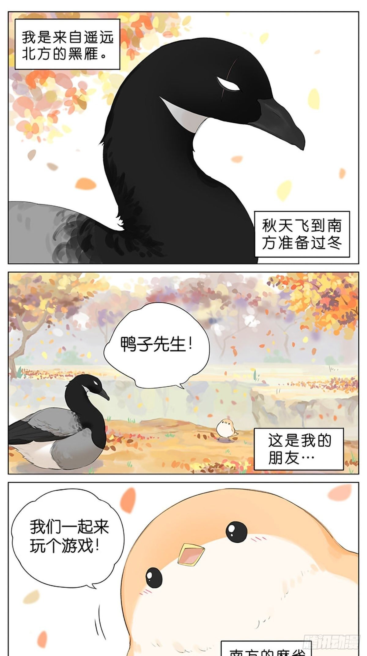 南方的鳥和北方的鳥 - 秋天的鳥。 - 1