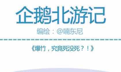 企鵝北遊記 - 03 - 1