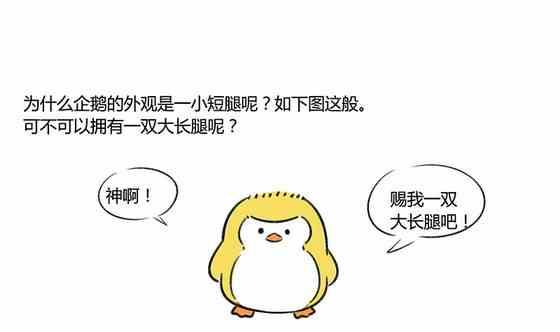 企鵝北遊記 - 29 - 1