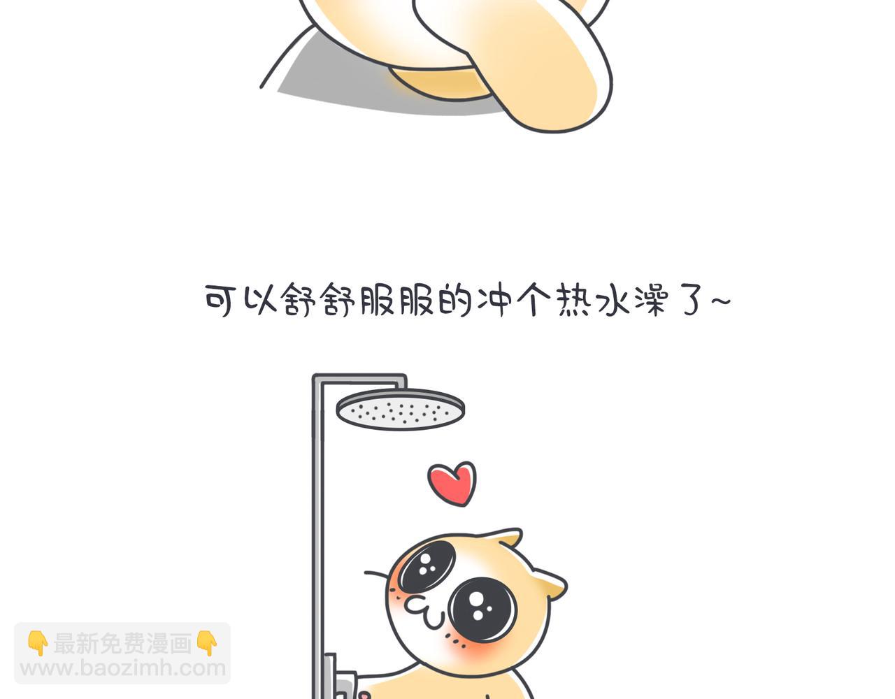 奇奇怪怪超可愛 - 成年貓的崩潰瞬間 - 3