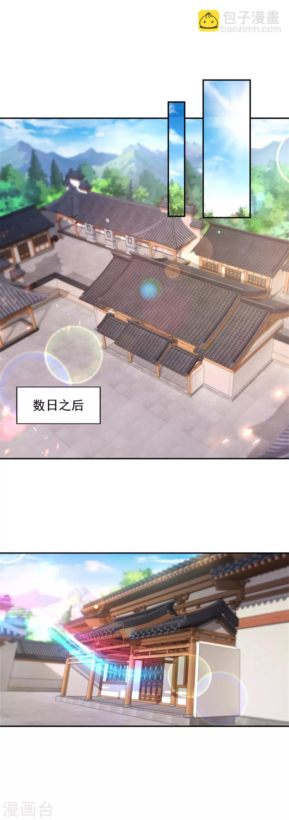 神魂武帝 - 第45話 青陽城換靈石 - 2